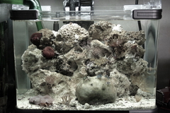 Killikus&reg; Fotographie